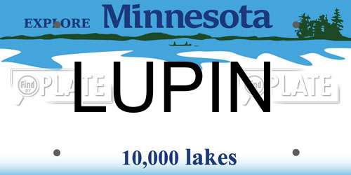 LUPIN Minnesota License Plate