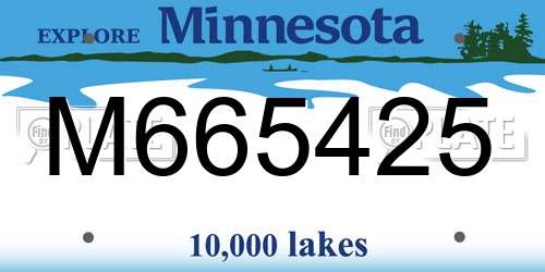 M665425 Minnesota License Plate