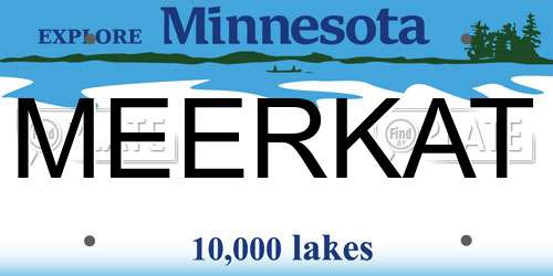 MEERKAT Minnesota License Plate