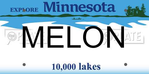 MELON Minnesota License Plate