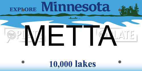 METTA Minnesota License Plate