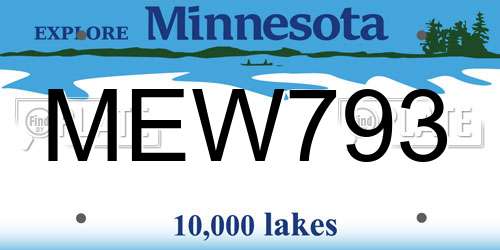 MEW793 Minnesota License Plate