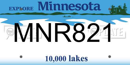 MNR821 Minnesota License Plate