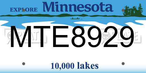 MTE8929 Minnesota License Plate
