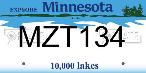 MZT134 Minnesota License Plate