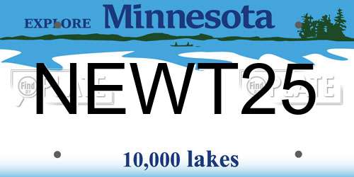 NEWT25 Minnesota License Plate