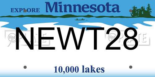 NEWT28 Minnesota License Plate
