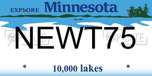 NEWT75 Minnesota License Plate