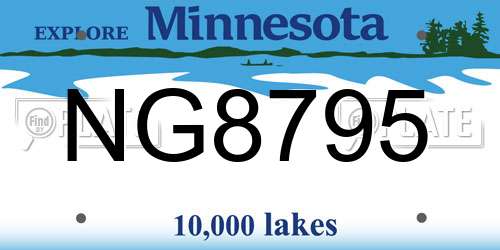 NG8795 Minnesota License Plate