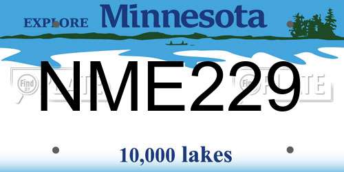 NME229 Minnesota License Plate