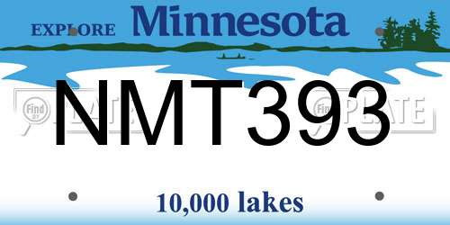 NMT393 Minnesota License Plate