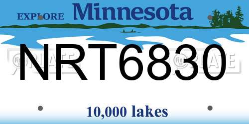 NRT6830 Minnesota License Plate