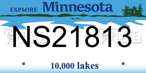 NS21813 Minnesota License Plate