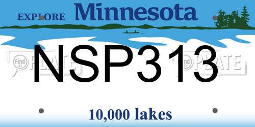 NSP313 Minnesota License Plate
