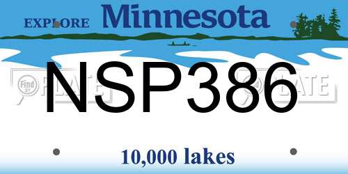 NSP386 Minnesota License Plate