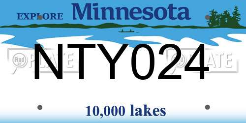 NTY024 Minnesota License Plate