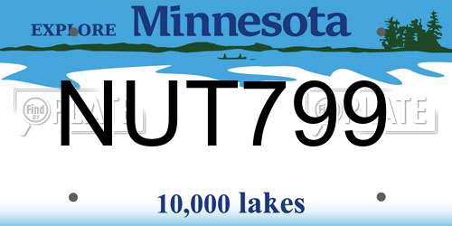 NUT799 Minnesota License Plate
