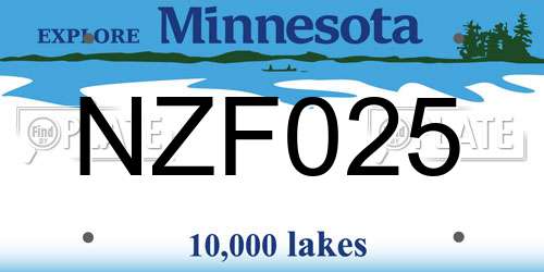 NZF025 Minnesota License Plate