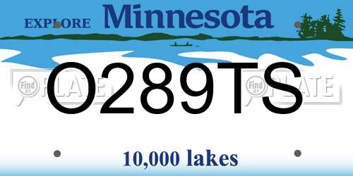O289TS Minnesota License Plate