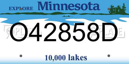 O42858D Minnesota License Plate