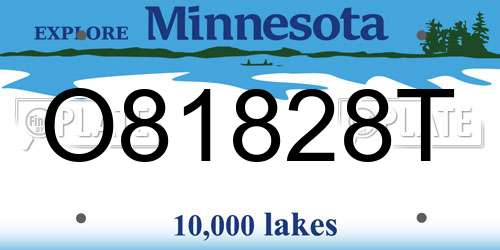 O81828T Minnesota License Plate