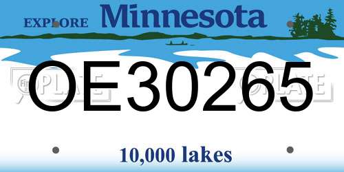OE30265 Minnesota License Plate