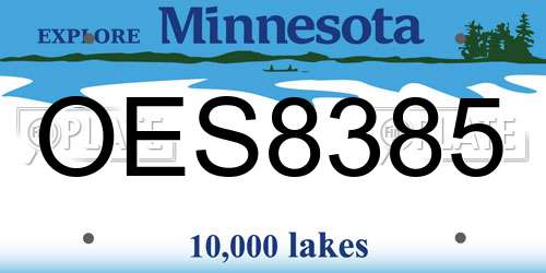 OES8385 Minnesota License Plate