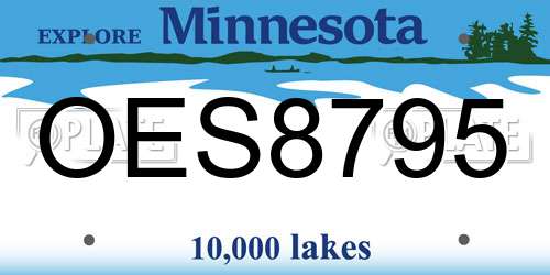OES8795 Minnesota License Plate