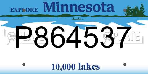 P864537 Minnesota License Plate