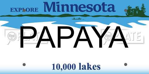 PAPAYA Minnesota License Plate