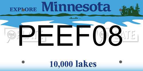 PEEF08 Minnesota License Plate