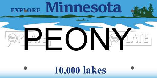 PEONY Minnesota License Plate