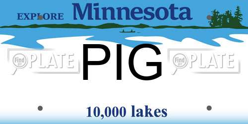 PIG Minnesota License Plate