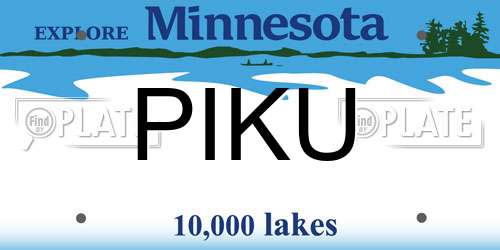 PIKU Minnesota License Plate