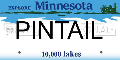 PINTAIL Minnesota License Plate