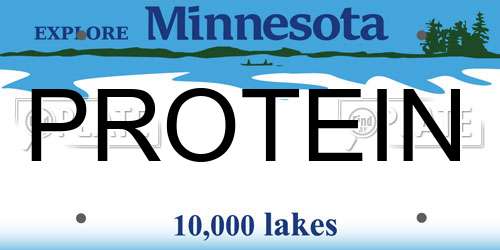 PROTEIN Minnesota License Plate