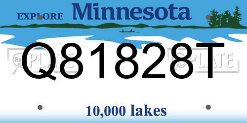 Q81828T Minnesota License Plate