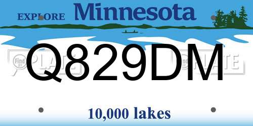 Q829DM Minnesota License Plate
