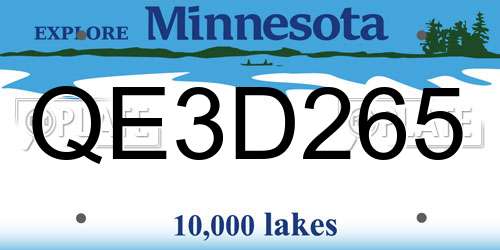 QE3D265 Minnesota License Plate