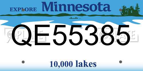 QE55385 Minnesota License Plate