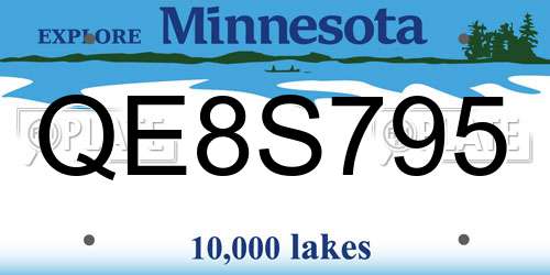 QE8S795 Minnesota License Plate