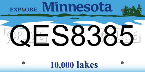 QES8385 Minnesota License Plate