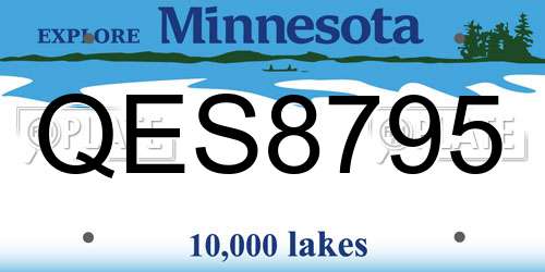 QES8795 Minnesota License Plate