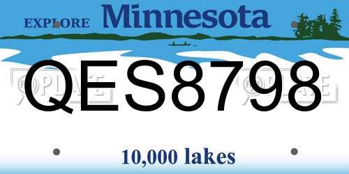 QES8798 Minnesota License Plate