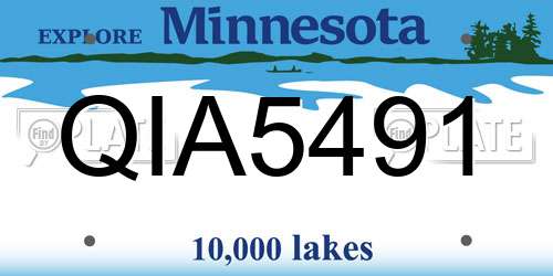 QIA5491 Minnesota License Plate