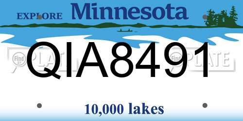 QIA8491 Minnesota License Plate