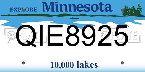 QIE8925 Minnesota License Plate