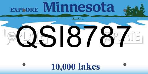 QSI8787 Minnesota License Plate