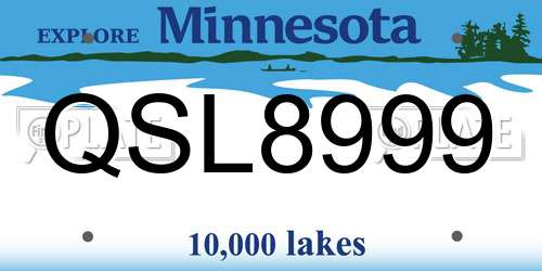 QSL8999 Minnesota License Plate