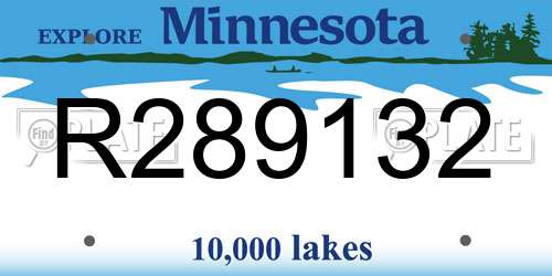 R289132 Minnesota License Plate